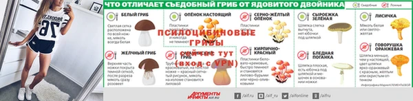 твердый Белокуриха