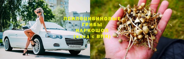 гидра Беломорск