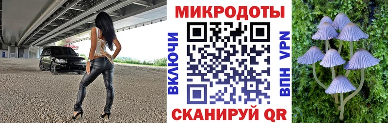 Галлюциногенные грибы ЛСД  как найти   Гатчина 