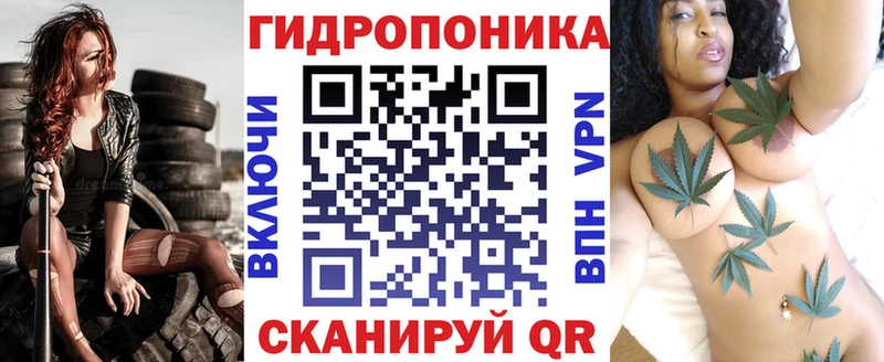 Конопля Amnesia  Гатчина 